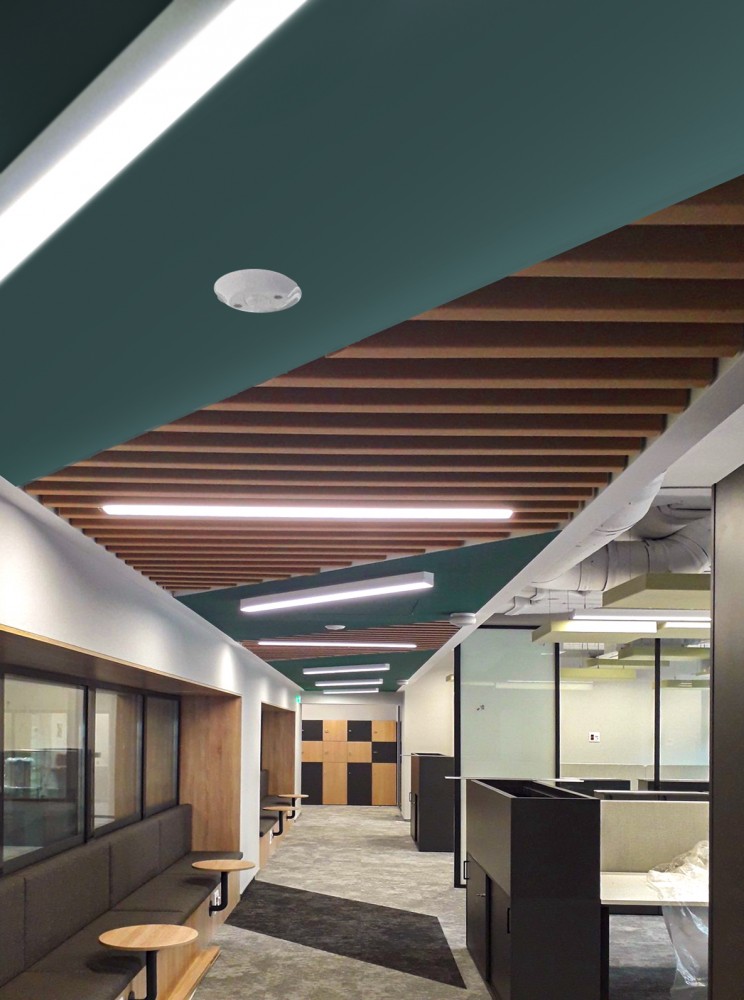 Банка 